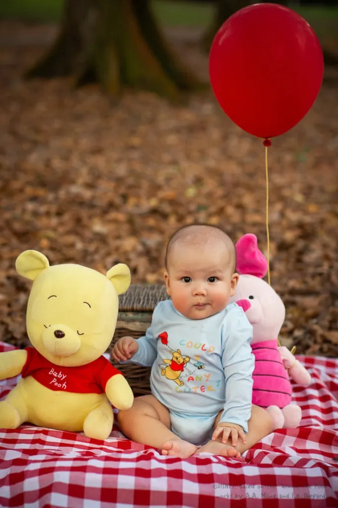 Long-Sleeve Onesie - Blue Busy Bee Pooh